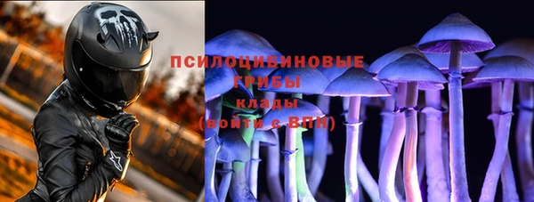 ПСИЛОЦИБИНОВЫЕ ГРИБЫ Коряжма