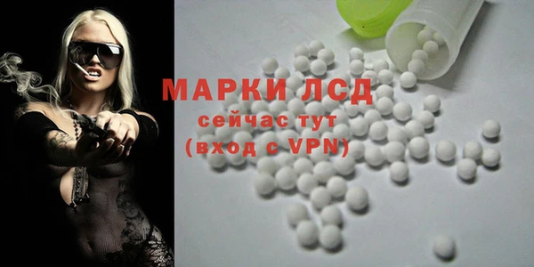ПСИЛОЦИБИНОВЫЕ ГРИБЫ Коряжма